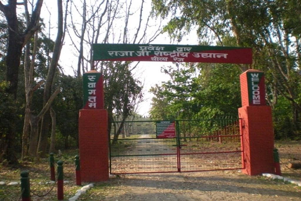 Safari in Rajaji Park