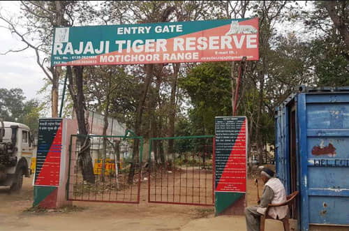 Rajaji Tiger Reserve Motichur Zone